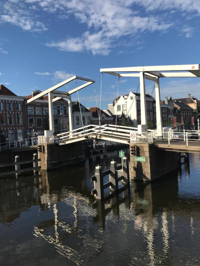 De Haarlemse Logeerkamer Kültér fotó
